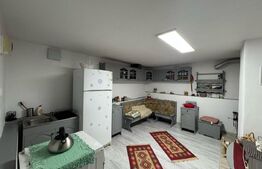 Casa de vanzare, cu 4 camere, 175 mp, în apropiere de Hațeg