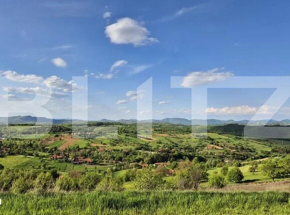 Teren de vânzare Vest - 170563TV | BLITZ Deva | Poza5