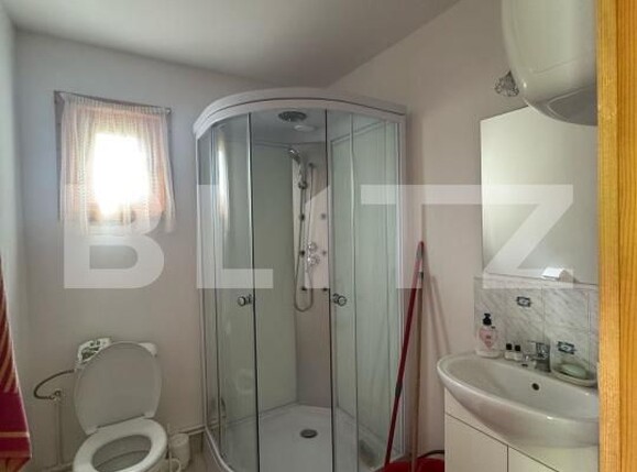 Casa de vânzare 2 camere Sud-Est - 170866CV | BLITZ Deva | Poza5