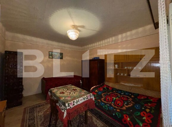 Casa de vânzare 2 camere Brad - 170871CV | BLITZ Deva | Poza2