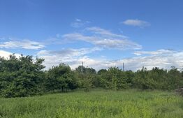 Teren intravilan, de vanzare, 800 mp, zona Simeria 