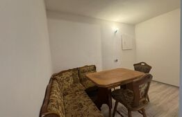 Casă de vanzare, cu 3 camere, 116 mp in Șoimuș