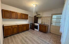 Casă de vanzare, cu 3 camere, 116 mp in Șoimuș