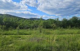 Teren cu priveliște panoramică, de vanzare, 1281 mp, zona Caprioara