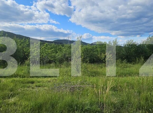 Teren de vânzare Caprioara - 171721TV | BLITZ Deva | Poza2