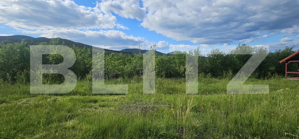 Teren de vânzare Caprioara - 171721TV | BLITZ Deva | Poza2