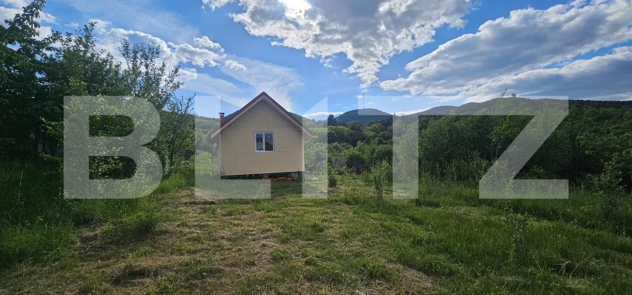 Teren de vânzare Caprioara - 171721TV | BLITZ Deva | Poza3