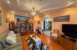 Vila de vanzare, cu 9 camere, 360 mp, zona Orăștie