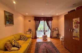 Vila de vanzare, cu 9 camere, 360 mp, zona Orăștie