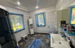 Vila de vanzare, cu 9 camere, 360 mp, zona Orăștie