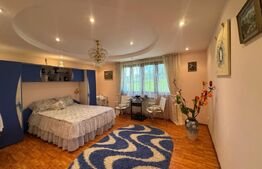 Vila de vanzare, cu 9 camere, 360 mp, zona Orăștie