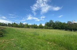 Casă de vanzare, cu 3 camere, 116 mp, zona Bos 