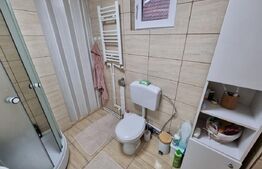 Casă de vanzare, cu două unități locative, 5 camere, 158 mp, zona Geoagiu