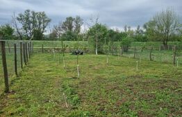 Casă de vanzare, cu două unități locative, 5 camere, 158 mp, zona Geoagiu