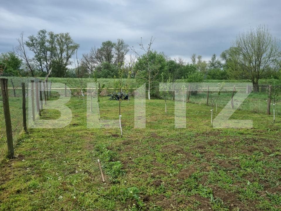 Casa de vânzare 5 camere Exterior Est - 172169CV | BLITZ Deva | Poza25