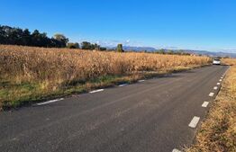  Teren extravilan cu potențial IMENS de dezvoltare în BĂCIA - HUNEDOARA