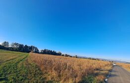  Teren extravilan cu potențial IMENS de dezvoltare în BĂCIA - HUNEDOARA