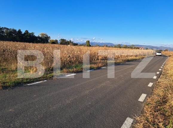 Teren de vânzare Exterior Sud - 172183TV | BLITZ Deva | Poza4