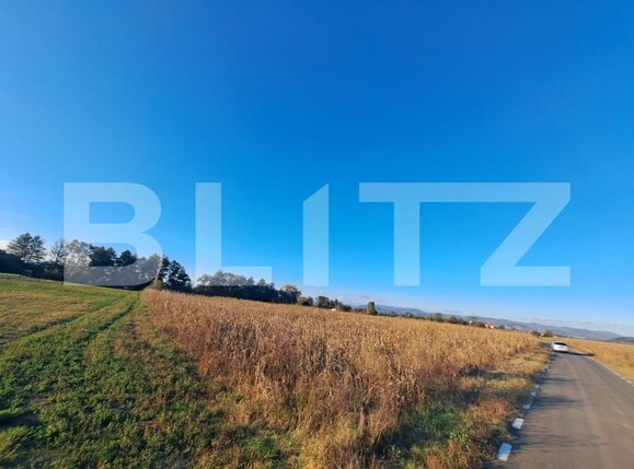 Teren de vânzare Exterior Sud - 172183TV | BLITZ Deva | Poza2