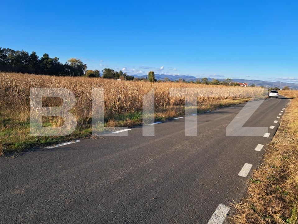 Teren de vânzare Exterior Sud - 172183TV | BLITZ Deva | Poza4