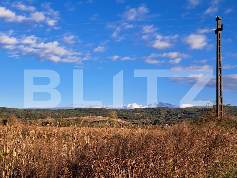 Teren de vânzare Exterior Sud - 172183TV | BLITZ Deva | Poza3