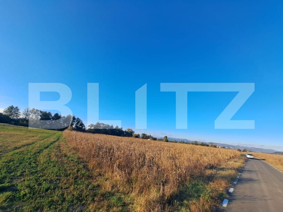 Teren de vânzare Exterior Sud - 172183TV | BLITZ Deva | Poza2