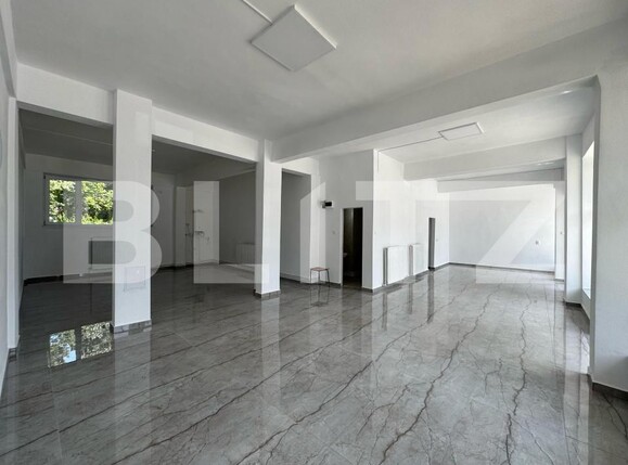 Spațiu comercial de închiriat 22 Decembrie - 172596SIC | BLITZ Deva | Poza1