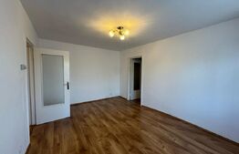 Apartament cu 2 camere, 46 mp, in Gojdu