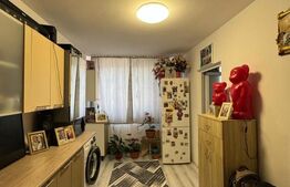 Apartament cu 3 camere in Dacia