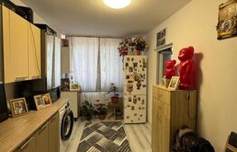 Apartament cu 3 camere in Dacia