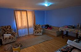 Casa cu o camera, 60 mp, in apropiere de Brad