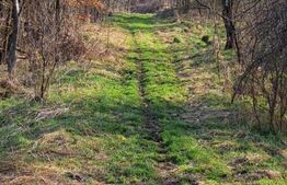 Casa cu o camera, 60 mp, in apropiere de Brad