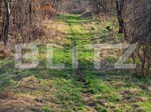 Casa de vânzare 1 camera Periferie - 172924CV | BLITZ Deva | Poza1