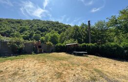 Casa cu 2 camere 53 mp in Lesnic, COMISION 0 PENTRU CUMPARATOR