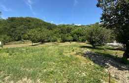 Casa cu 2 camere 53 mp in Lesnic, COMISION 0 PENTRU CUMPARATOR