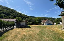 Casa cu 2 camere 53 mp in Lesnic, COMISION 0 PENTRU CUMPARATOR