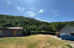 Casa cu 2 camere 53 mp in Lesnic, COMISION 0 PENTRU CUMPARATOR