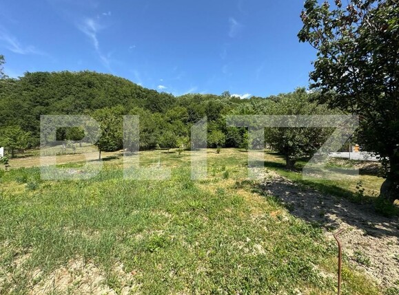 Casa de vânzare 2 camere Nord-Vest - 173035CV | BLITZ Deva | Poza9