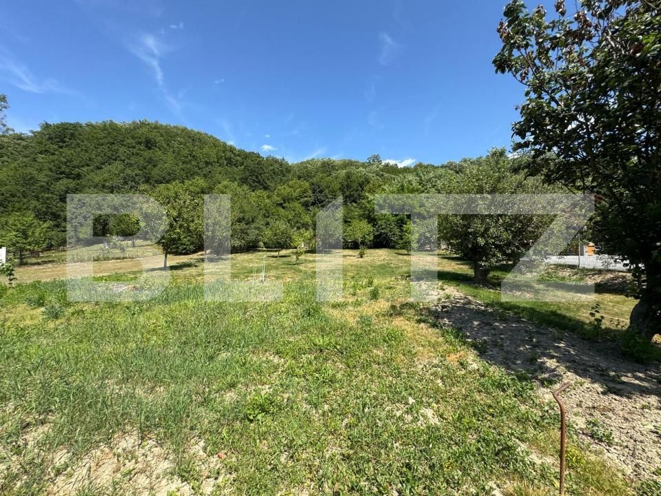 Casa de vânzare 2 camere Nord-Vest - 173035CV | BLITZ Deva | Poza9