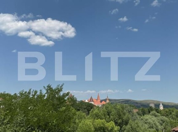 Casa de vânzare 2 camere Hunedoara - 173117CV | BLITZ Deva | Poza10