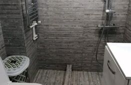 Apartament de vanzare, cu 2 camere, 29 mp, zona Dacia