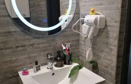 Apartament de vanzare, cu 2 camere, 29 mp, zona Dacia