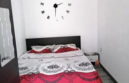 Apartament de vanzare, cu 2 camere, 29 mp, zona Dacia
