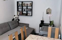 Apartament de vanzare, cu 2 camere, 29 mp, zona Dacia