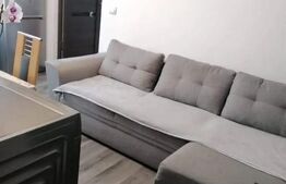 Apartament de vanzare, cu 2 camere, 29 mp, zona Dacia