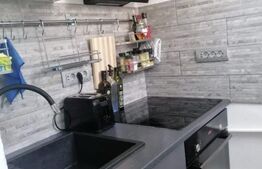 Apartament de vanzare, cu 2 camere, 29 mp, zona Dacia