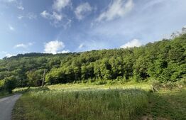 Teren intravilan de 4558 mp 