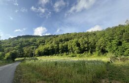 Teren intravilan de 4558 mp 