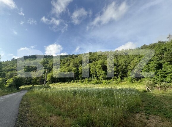 Teren de vânzare Periferie - 173161TV | BLITZ Deva | Poza2