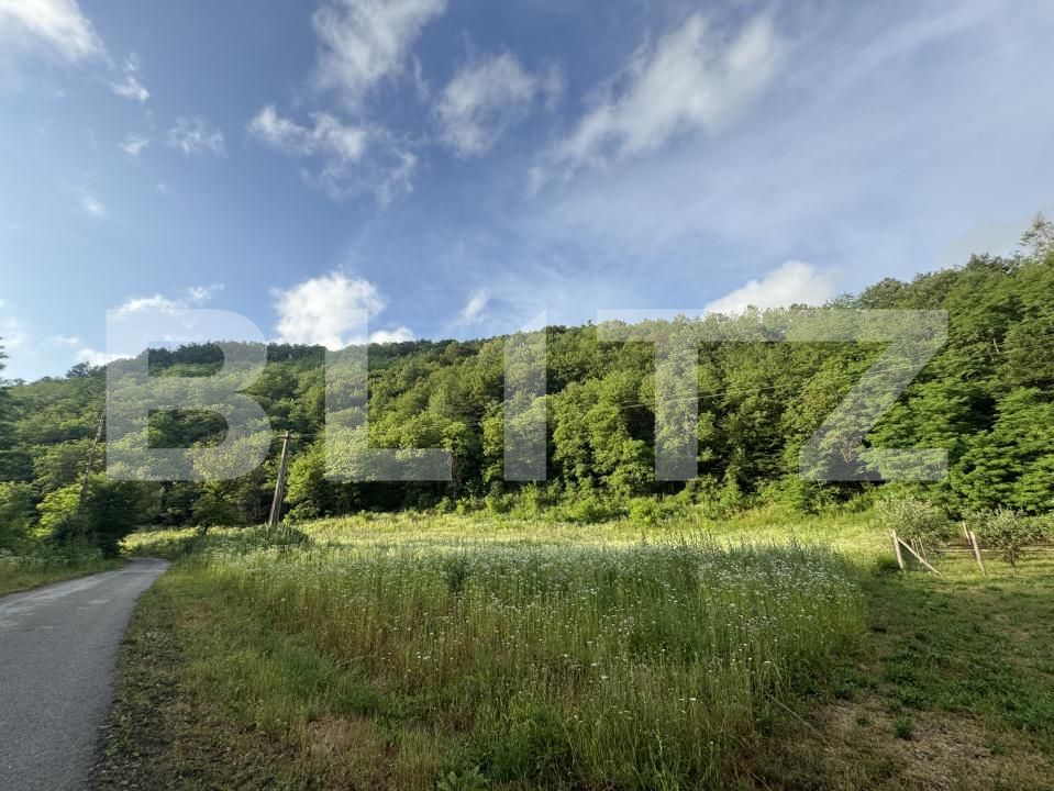 Teren de vânzare Periferie - 173161TV | BLITZ Deva | Poza2